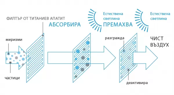 4. чист въздух 4. chist vazduh e1611922631318