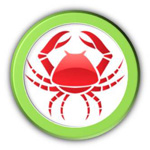 chitin