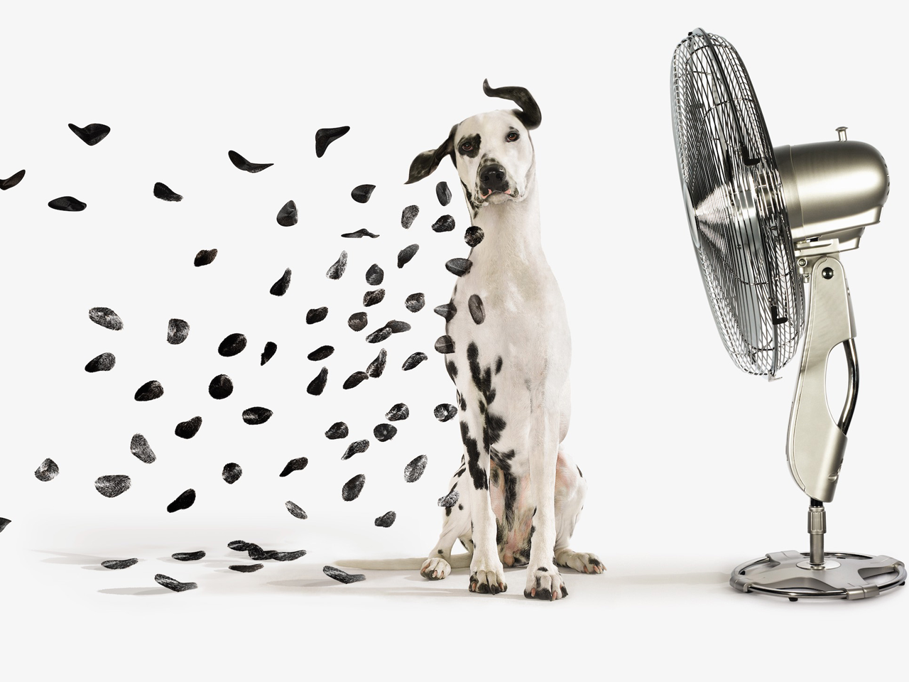 turbo-fan-1280x960-1.png